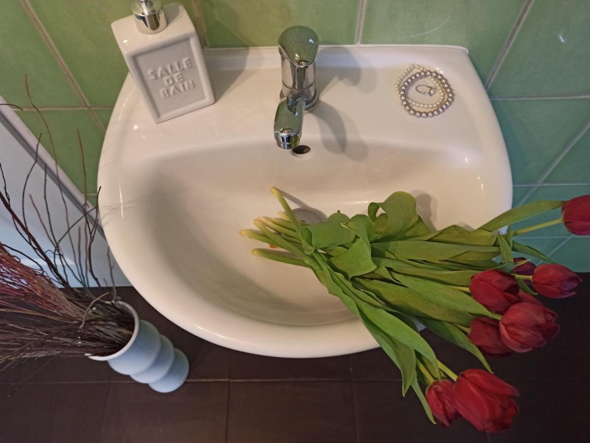 Apartmany Ziakova - Ubytovani Nove Hrady 111 Exterior foto