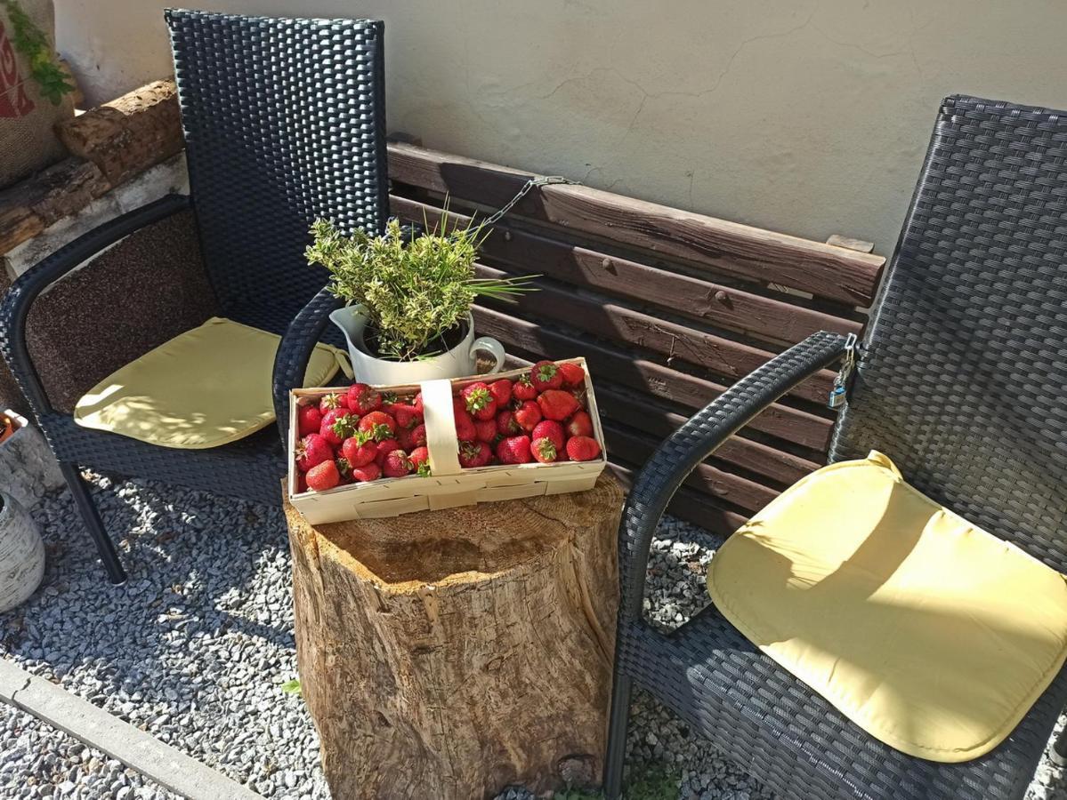 Apartmany Ziakova - Ubytovani Nove Hrady 111 Exterior foto
