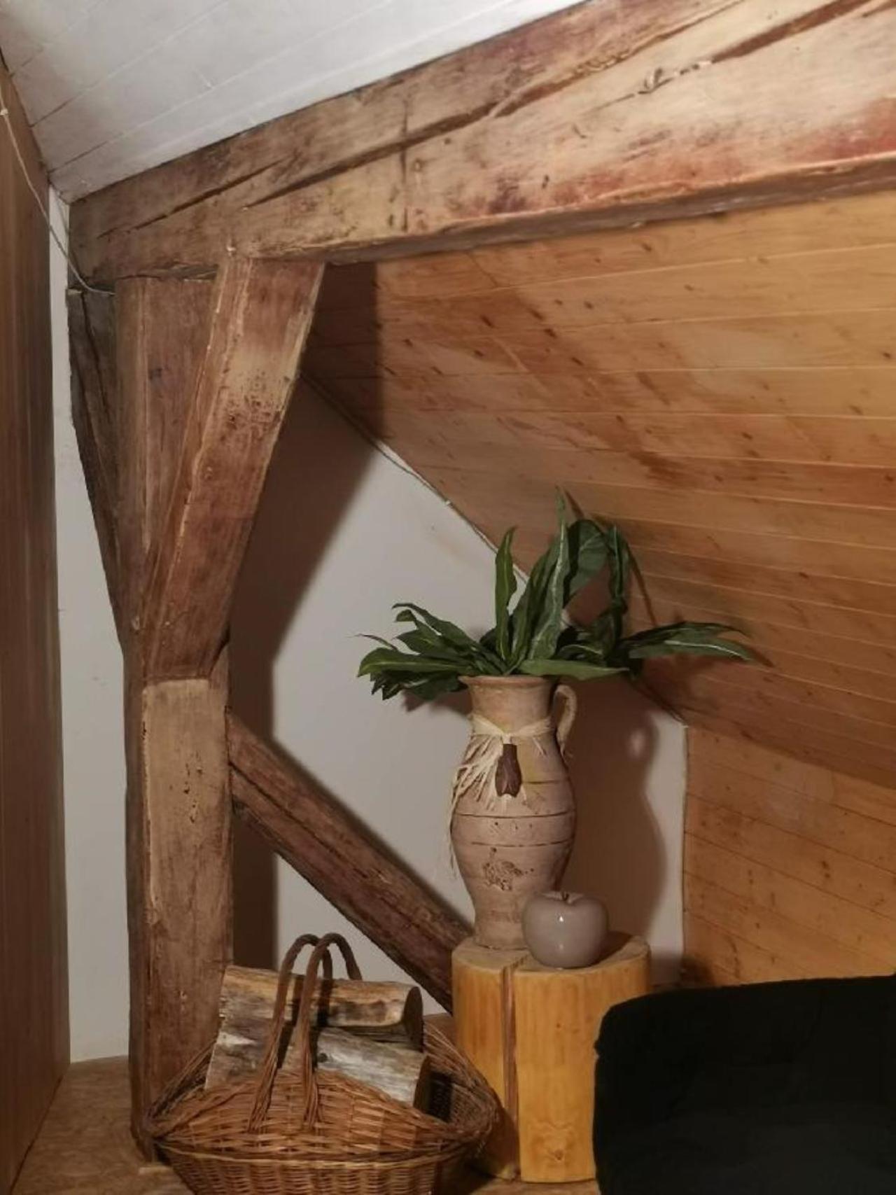 Apartmany Ziakova - Ubytovani Nove Hrady 111 Exterior foto