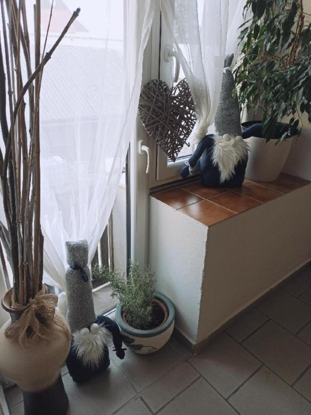 Apartmany Ziakova - Ubytovani Nove Hrady 111 Exterior foto